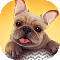 Dog Shelter - Bark Bark Bark