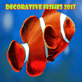 Decorative Fishes 2017 icon