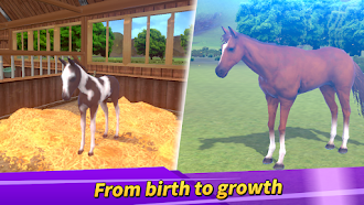 Game screenshot Derby Life : Horse racing hack