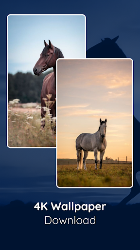 Horse HD Live Wallpaper Screen 3