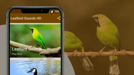Leafbird Sounds Screen 2