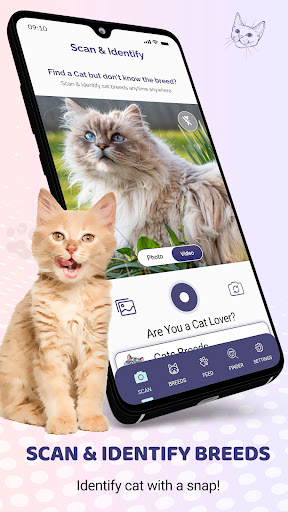 Android application Cat Identifier: AI Cat Scanner screenshort