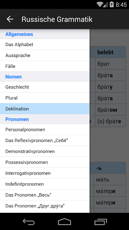 Russische Grammatik - 1.0.4 - (Android)
