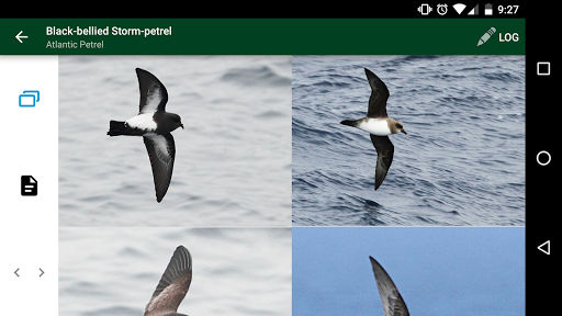 Antarctic Wildlife Guide Screenshot