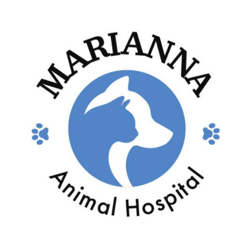 Marianna AH logo