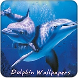 Dolphin Wallpapers 4K UltraHD icon