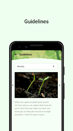 876 Trees Screen 3