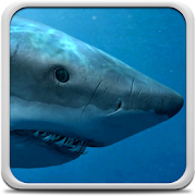 Sharks Live Wallpaper  Icon