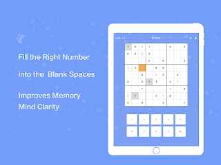 Crazy Sudoku - Screenshot 3