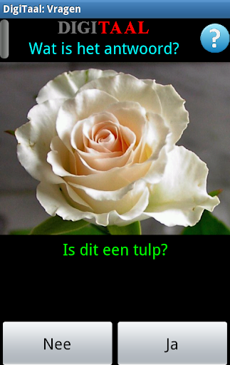DigiTaal Screen 3