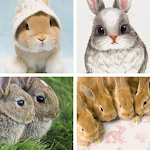 Cover Image of Download Easter Bunny HD Wallpapers 2.0.44 APK