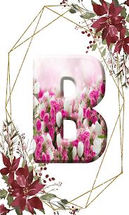 wallpapers letter B 5