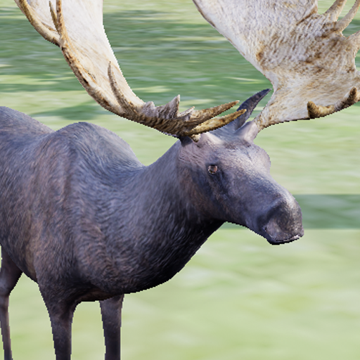 Happy Moose Simulator