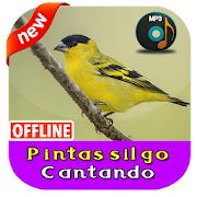 Top 14 Music & Audio Apps Like Pintassilgo Cantando - Best Alternatives