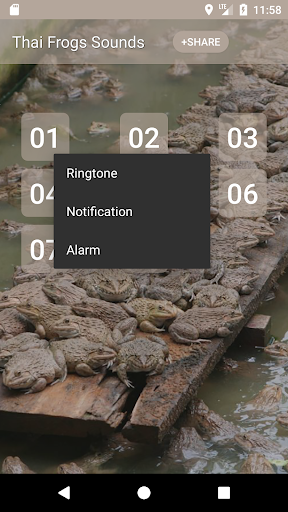 Thai Frog Sounds Screen 2