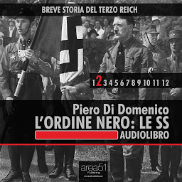Icon image Breve storia del Terzo Reich vol.2: L’Ordine Nero. Le SS