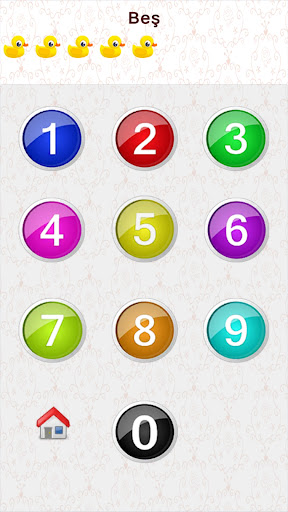 Little Educational Screen 2
