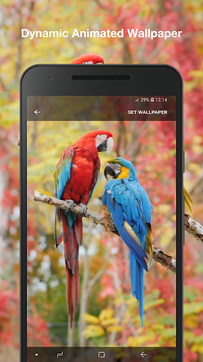 Beauty Birds Wallpaper Pro Screen 2