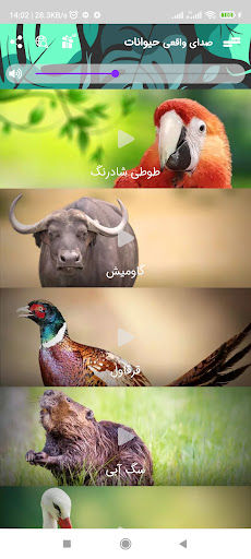 2023 صدای واقعی حیوانات Screen 2