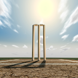 Cricket Player Manager icon