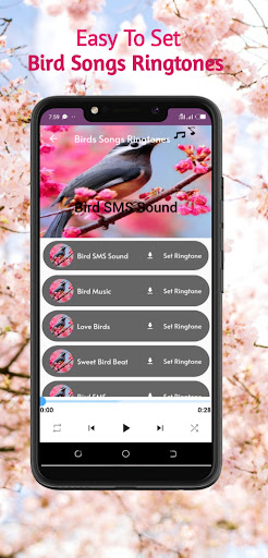 Bird Songs ringtones Screen 3