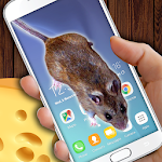 Cover Image of ダウンロード Fake Mouse on Screen: Animal in Phone 1.2 APK