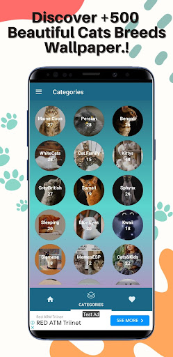Cute Cats Wallpaper Screen 3