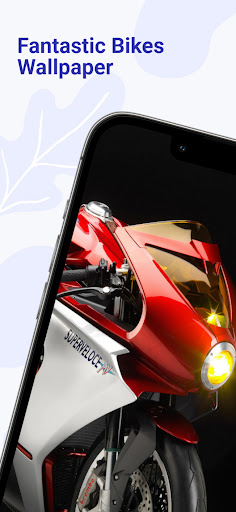 Fantastic Bikes Wallpaper