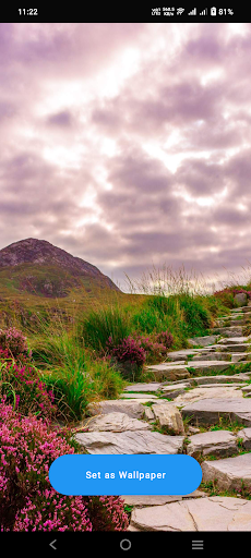 Android application Ireland Wallpaper screenshort