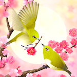 Cover Image of Download Plum-Blossom and White-Eye  APK