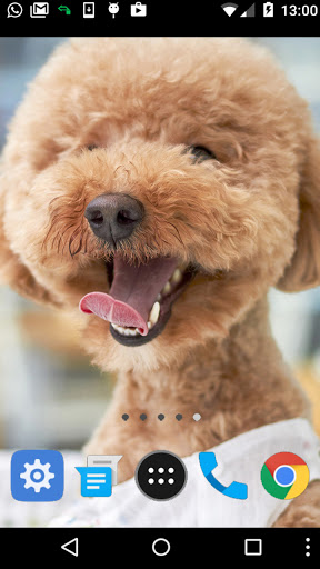smile dog wallpaper Screen 2