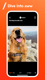 Descargar Reddit Premium APK 2025 Gratis 4
