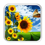 nature shiny sunflower icon