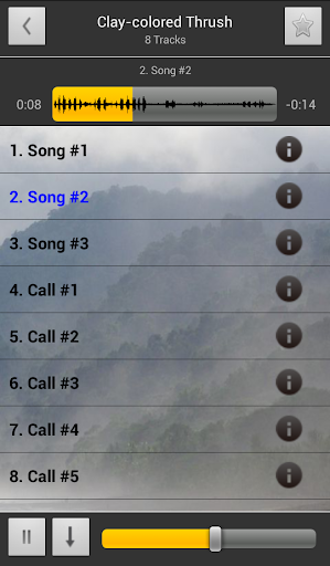 Android application BirdSounds Costa Rica Lite screenshort