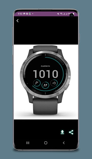 Garmin Vivoactive 4 guide
