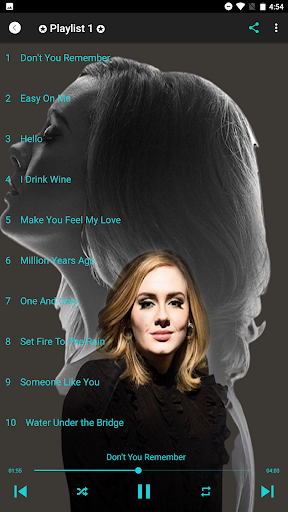 Adele Song Offline