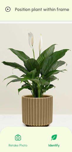 Plant Identifier App Screen 3