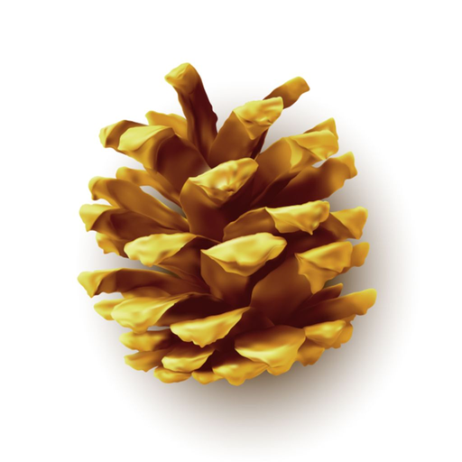True Natured Creatives logo