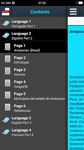 Vista previa de la aplicación