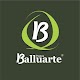 Balluarte Download on Windows