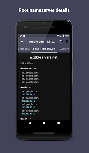 DNS Hero (open source) Screen 3