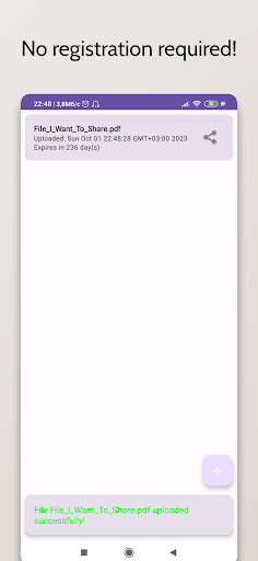 The Null Pointer Screen 2