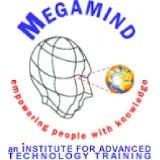 Megamind IT Training icon