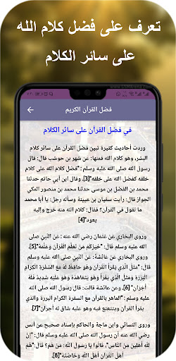 Ahmed Khalil Shaheen