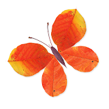 Labo Leaves icon