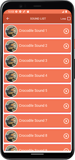 Crocodile Sounds Screen 3