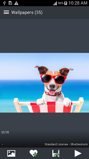 Cute Puppy Wallpapers