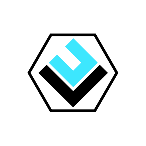 Level Up Online Coaching logo