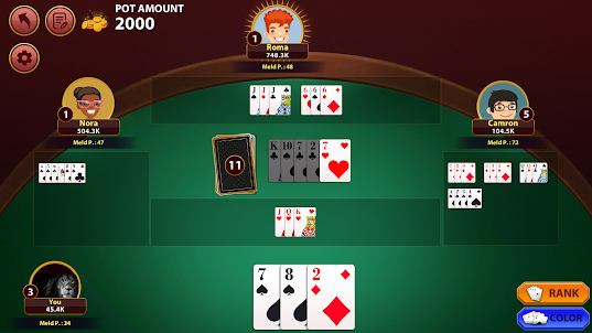 Rummy 500 : The Rummy Game