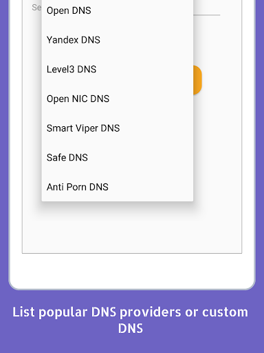 Change DNS Pro No Root 3G 4G